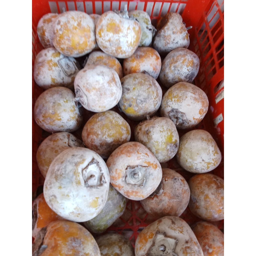 satu kg buah musiman buah kesemek segar
