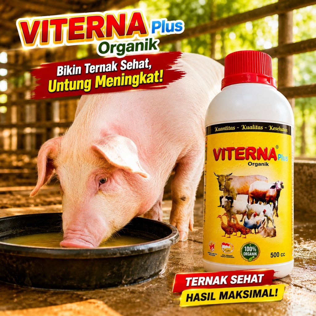 Vitamin Babi VITERNA Plus Organik 500cc - Penambah Nafsu Makan Babi, Mempercepat Pertumbuhan