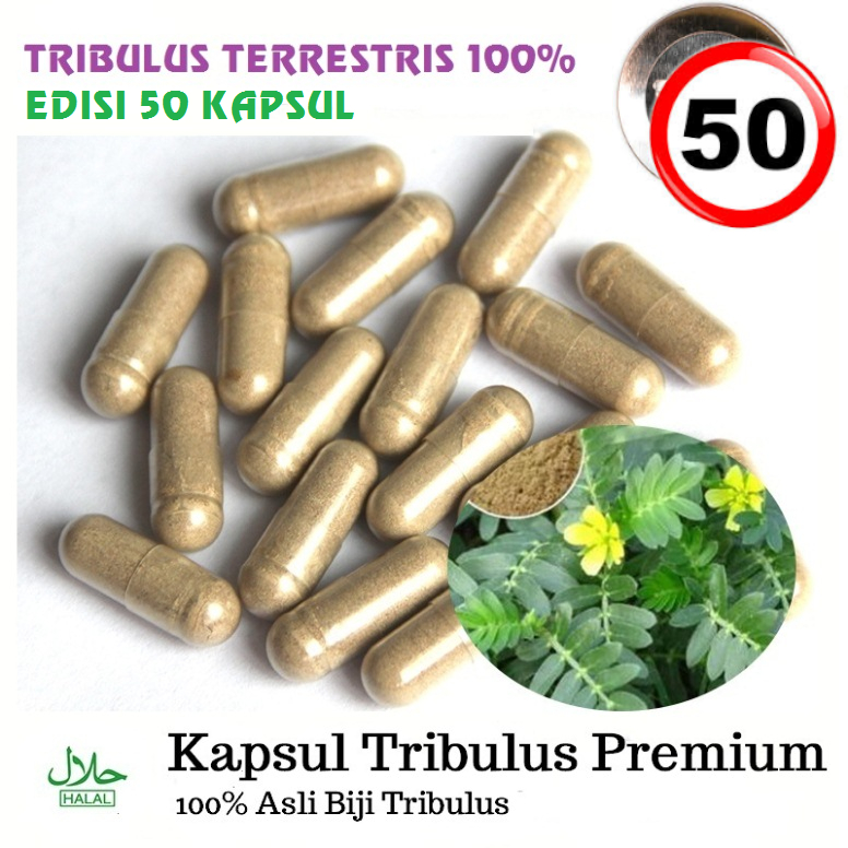 Tribulus Terrestris Testosteron 50 Kapsul Stamina Vitalitas Pembentuk Otot
