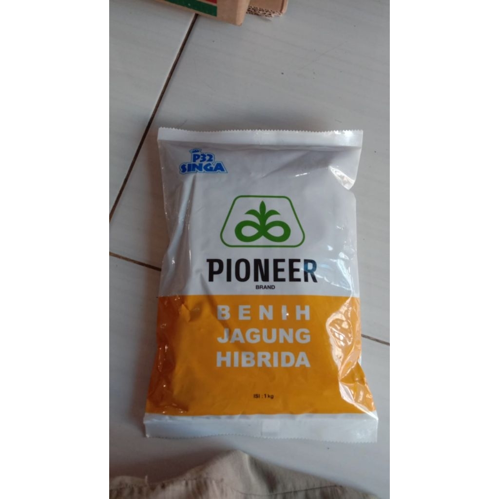 Benih jagung hibrida p32 singa 1kg