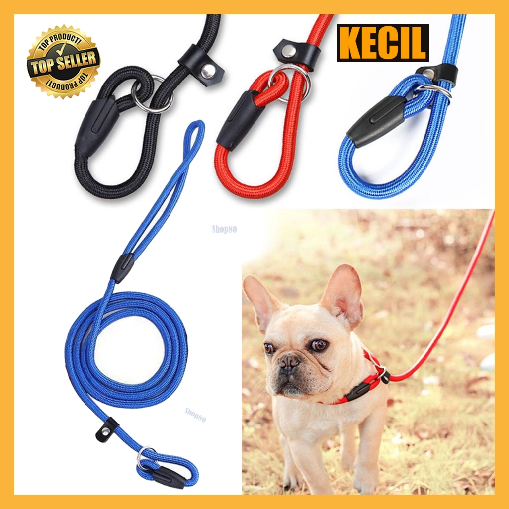 Tali Anjing Nilon Kecil Cesar Millan Tali Tuntun Nylon Nilon Anjing Kucing Dog Cat Leash Sliplead