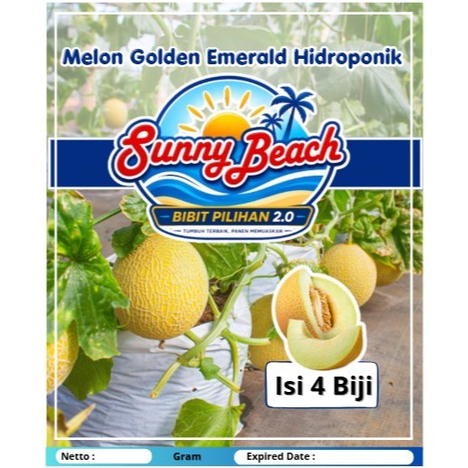 Bibit Pilihan Tumbuh Terbaik Panen Memuaskan 2.0| Bibit Melon Golden Emerald Hidroponik | Biji Benih