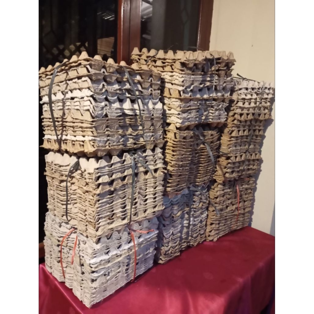Egg Tray Karton Bekas - Praktis, Ekonomis, 50 Lembar