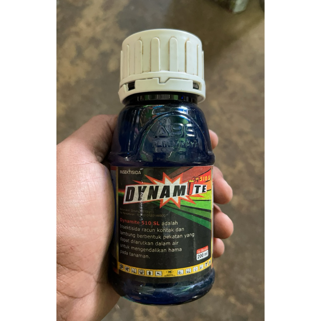 Insektisida Dynamite 510 SL pembasmi hama wereng dan kutu kutuan