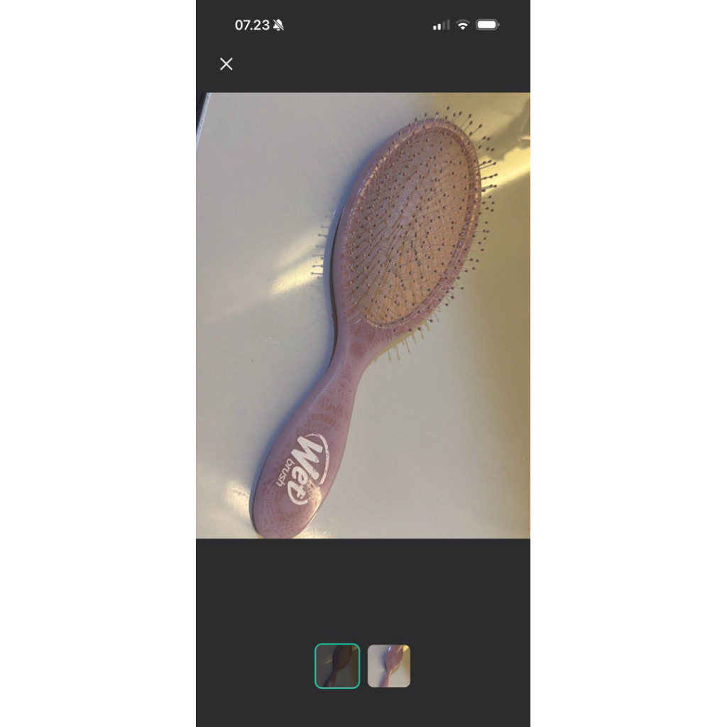 PRELOVED WET BRUSH