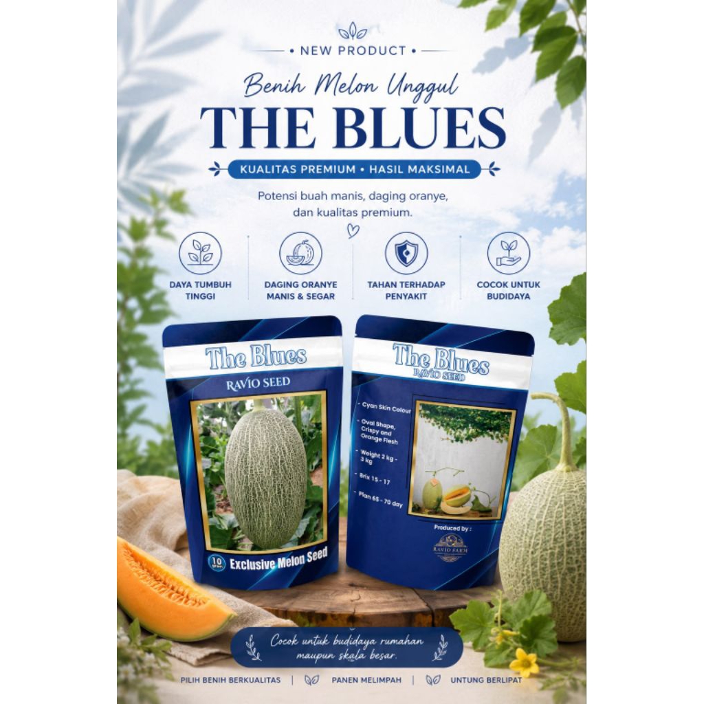Benih Melon The Blues - Hami melon
