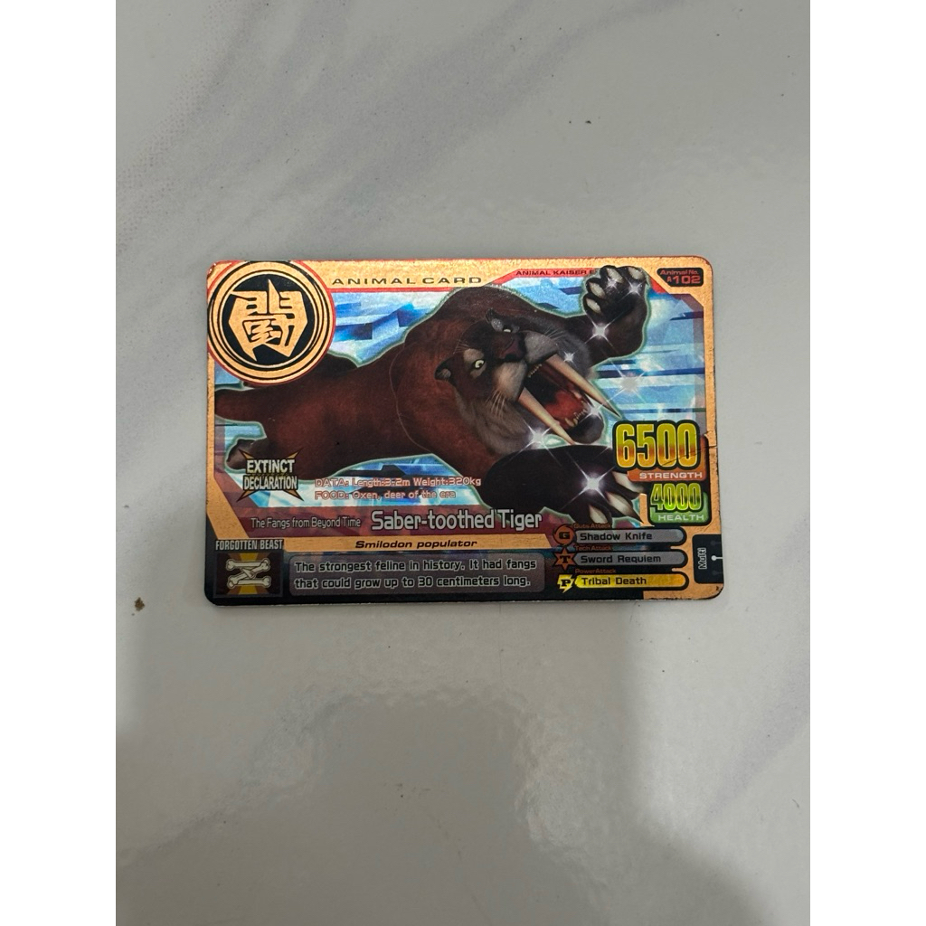 Saber toothed tiger BRONZE kartu animal kaiser animal card