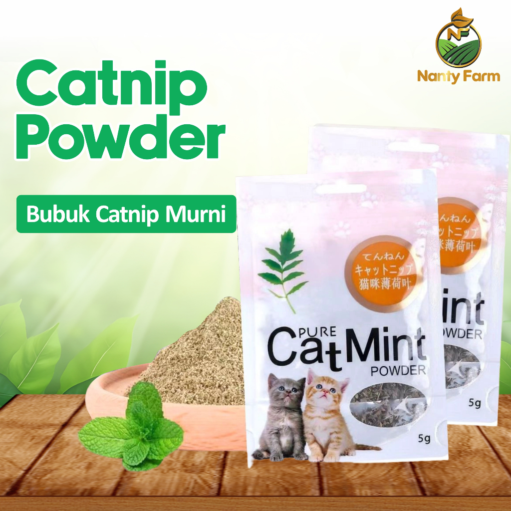 Catnip Powder Cat Mint Powder Kucing