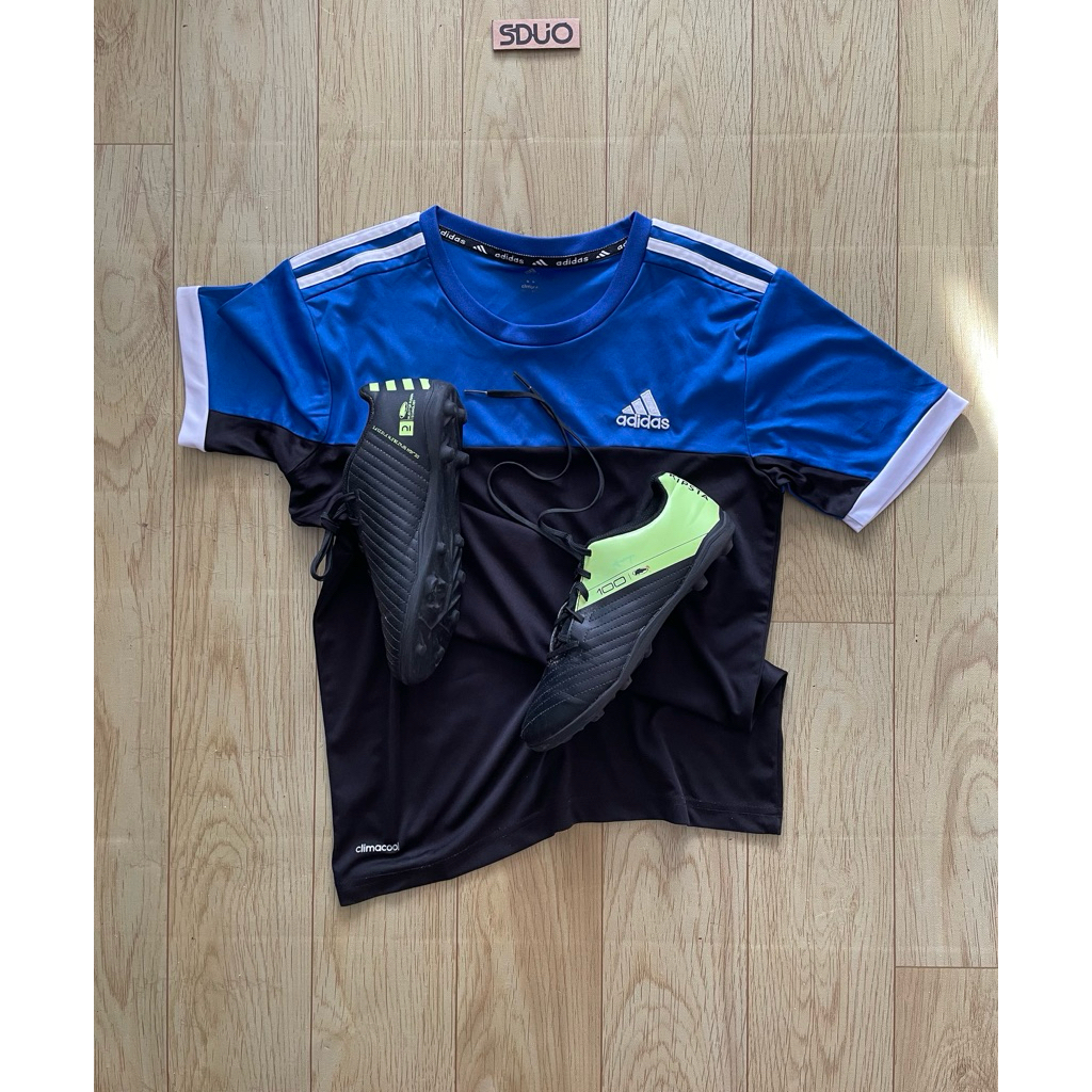 sepatu bola anak kipsta original