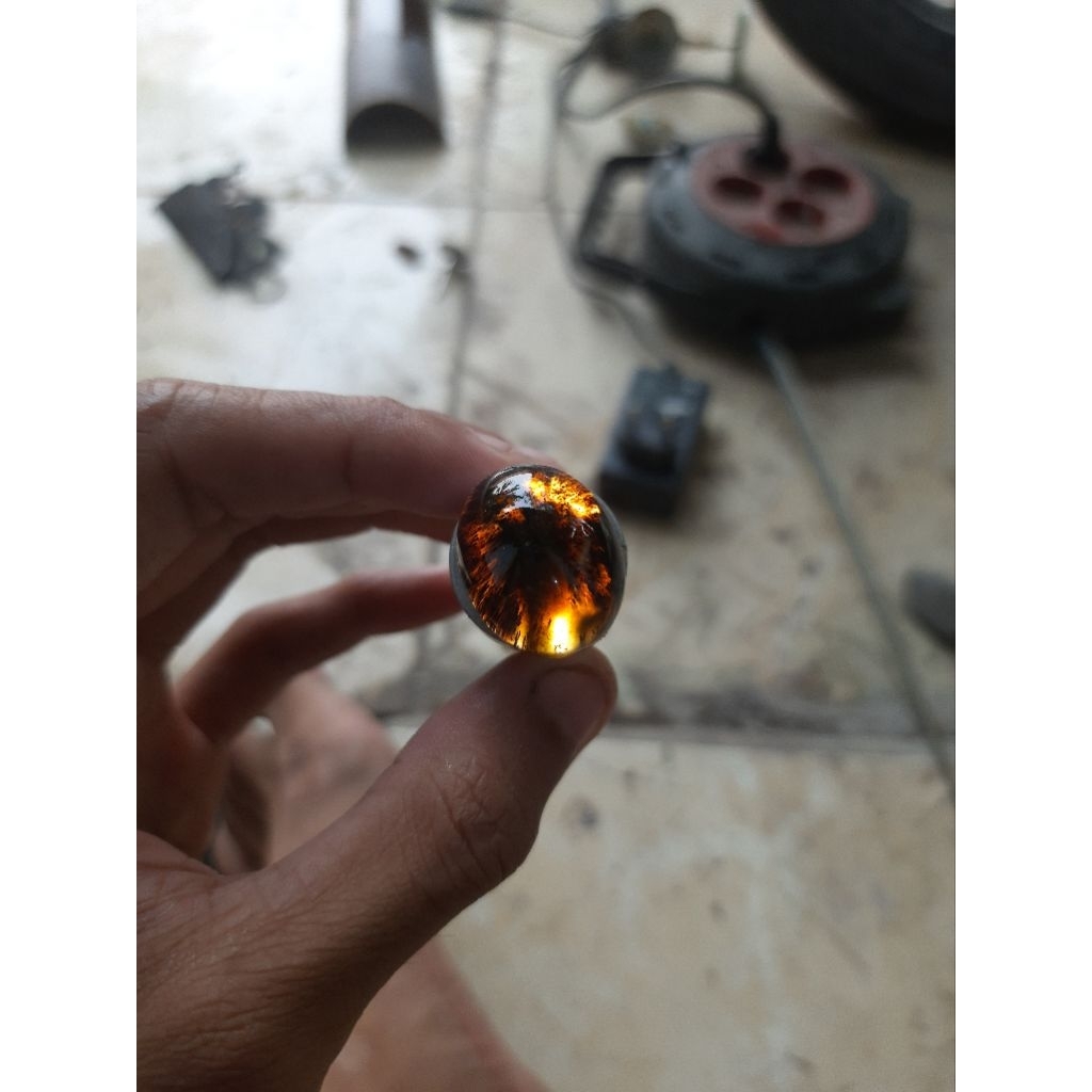 lostun batu fosil kelor tembus kristal