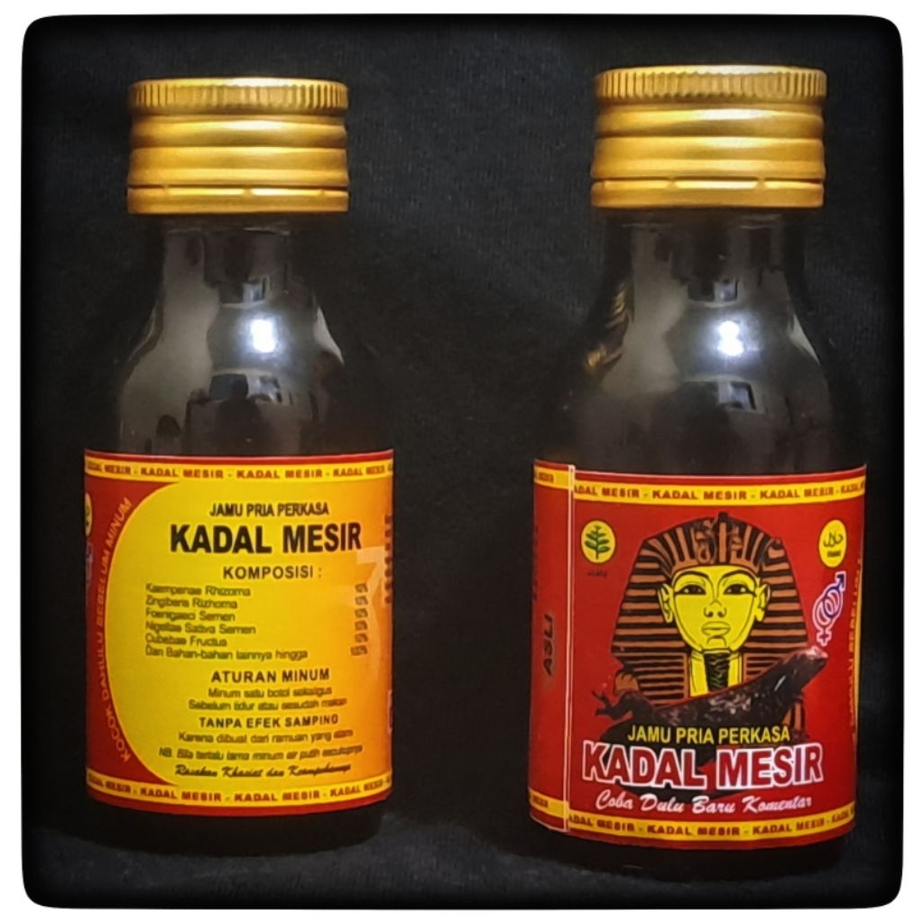herbal jamu kadal mesir 60 ml