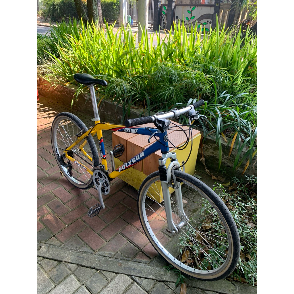 sepeda mtb poligon 26 inch