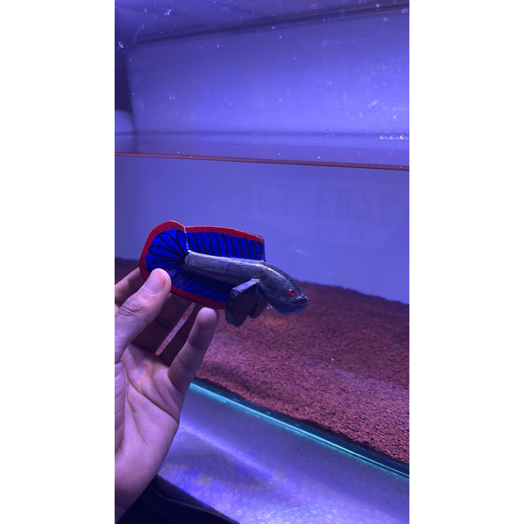 patung channa Limbata 5cm