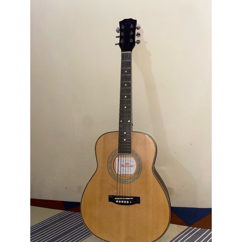 Gitar listrik Anderson original