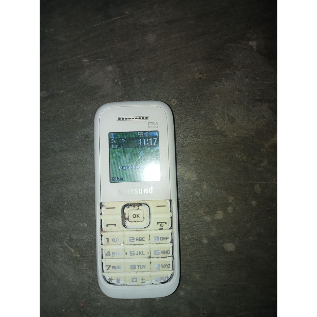 SAMSUNG B109E FM RADIO