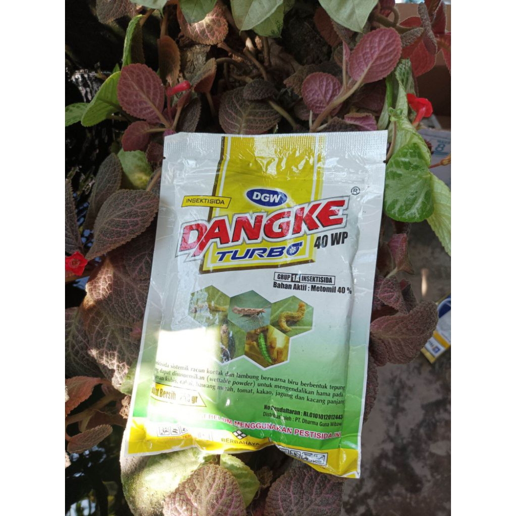 Insektisida Dangke Turbo 400gr