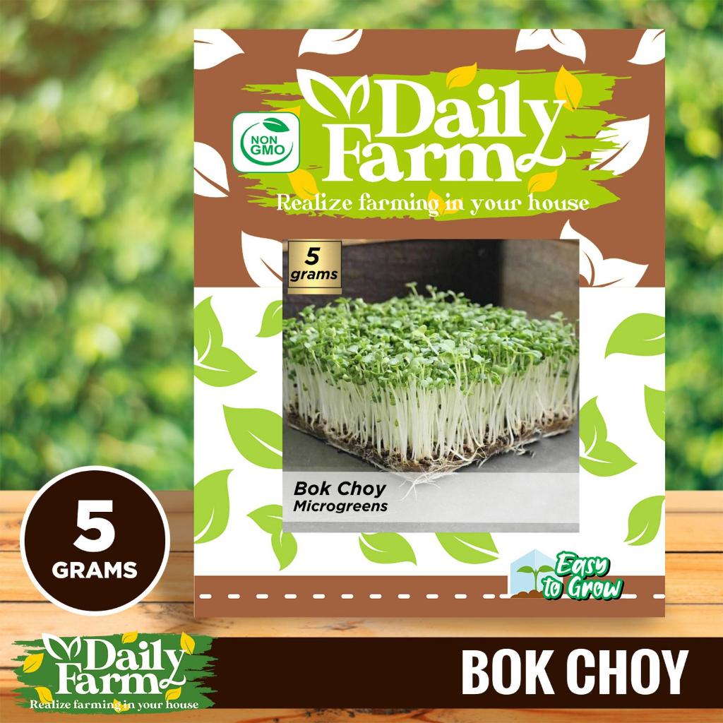 Benih Microgreen Bok Coy