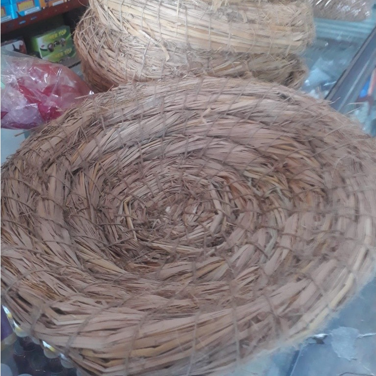 SARANG AYAM TARANGAN AYAM TEMPAT AYAM BERTELUR DAN MENGERAMI
