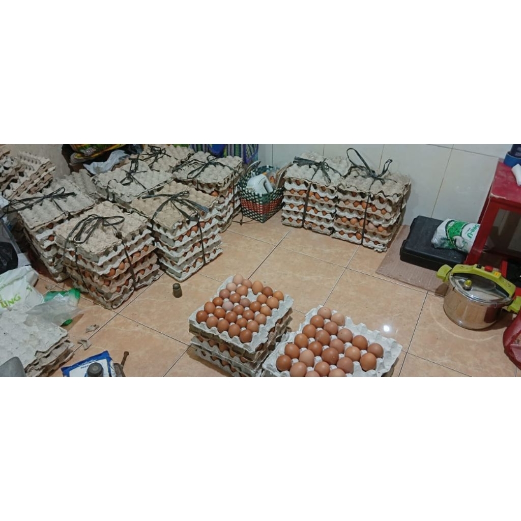 agen telur bisa eceran