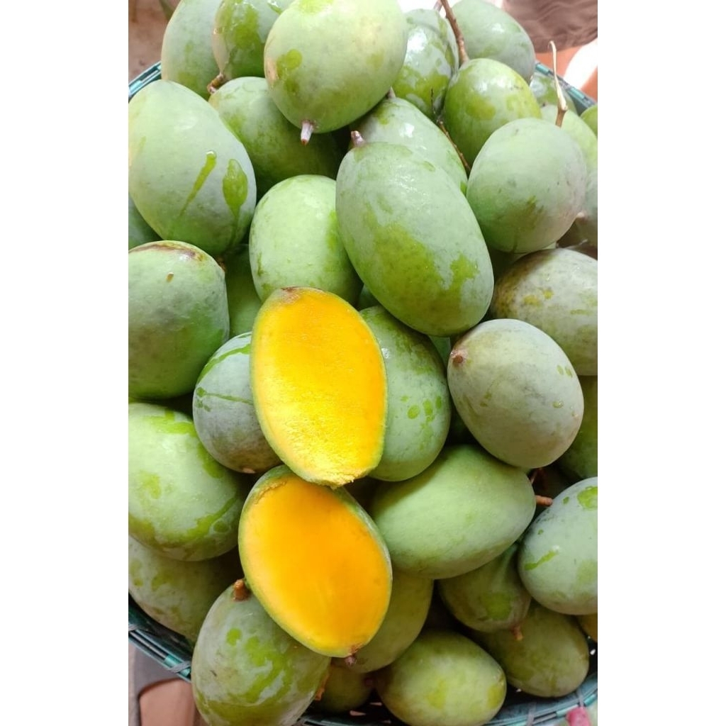 mangga kweni