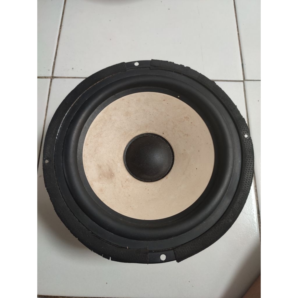SPEAKER 8 INCH COPOTAN POLYTRON