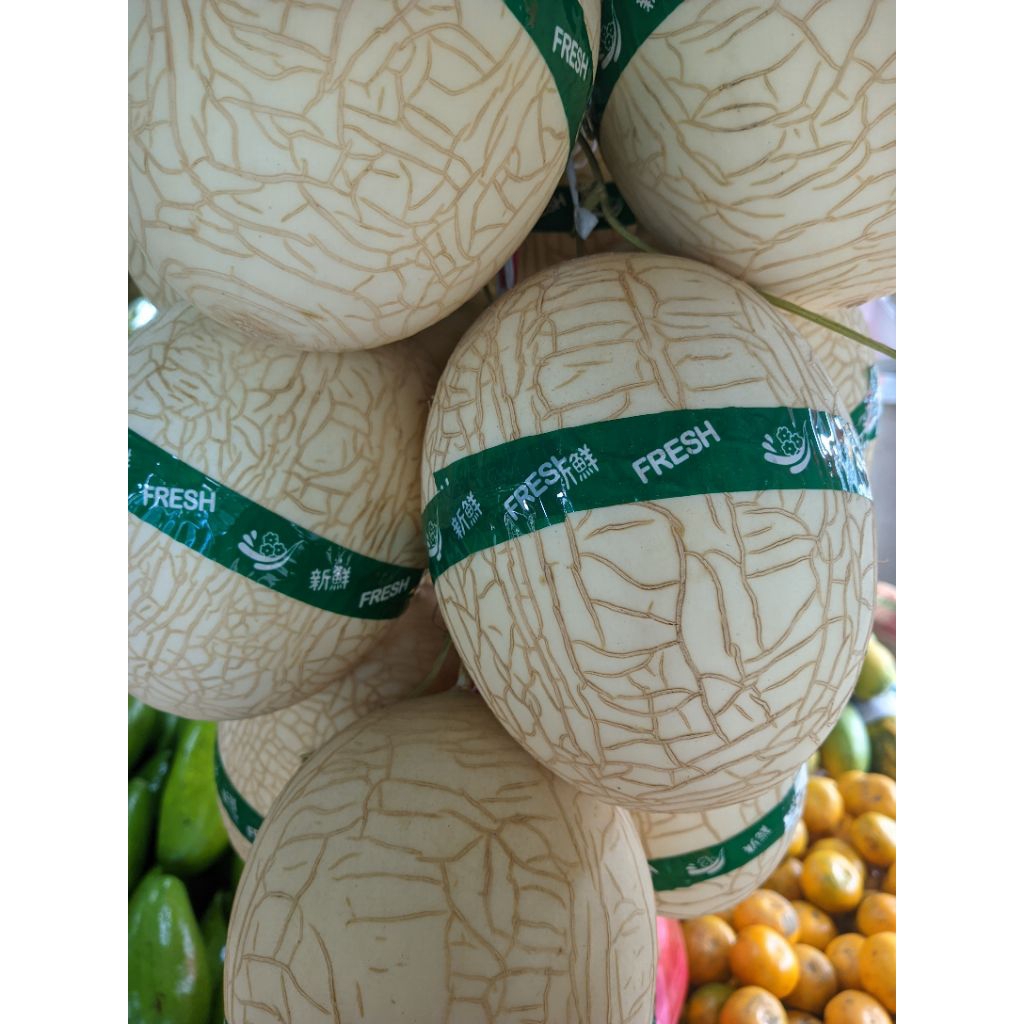 Melon sweet net premium