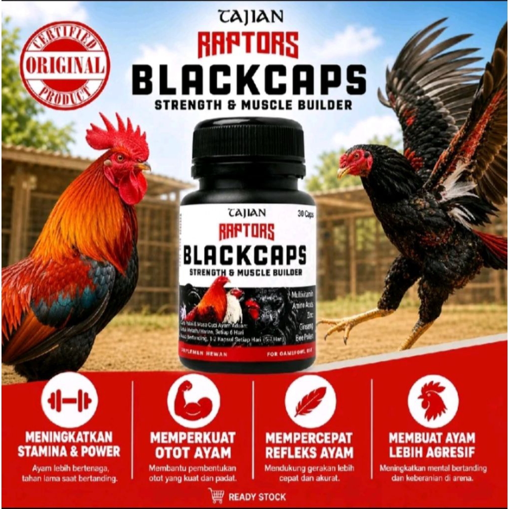 RAPTORS BLACKCAPS 30 Capsul Doping Ayam Laga Aduan Pisau Laga Menambah Massa Otot Ayam Massa Pembent