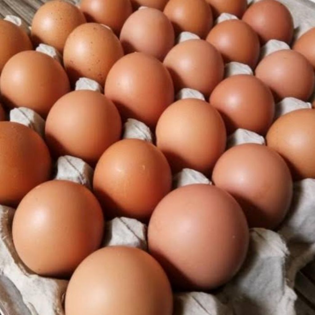 TELUR AYAM NEGERI/TELUR AYAM RAS