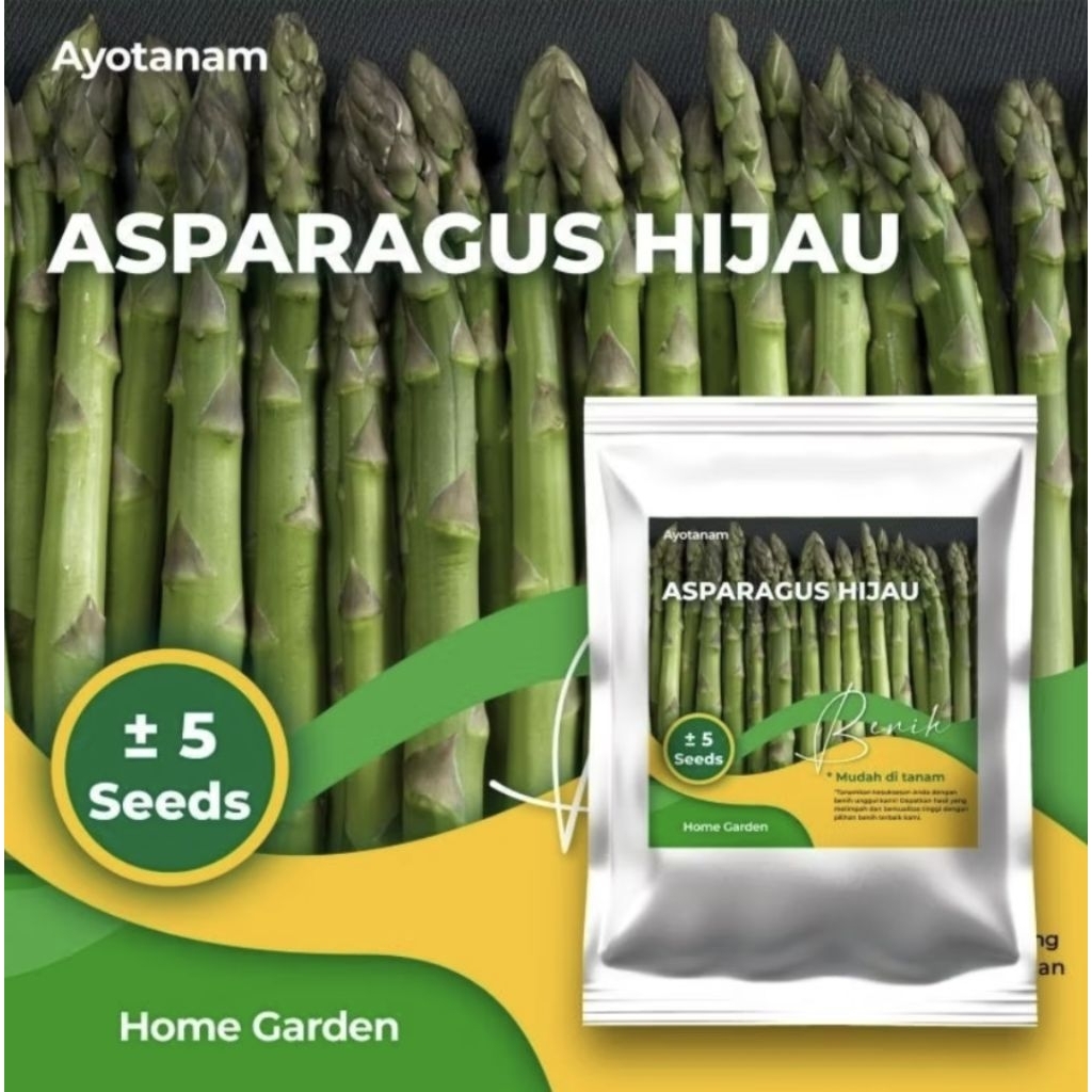 Benih Asparagus Hijau ± 5 Benih