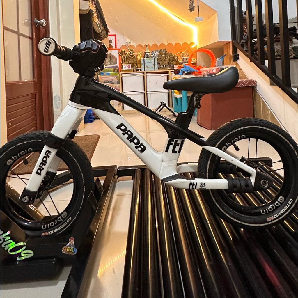 PAPA BIKE FTL CARBON FRAME ONLY