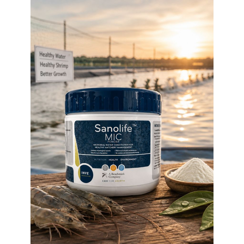 Sanolife Mic  probiotik benur udang 500gram
