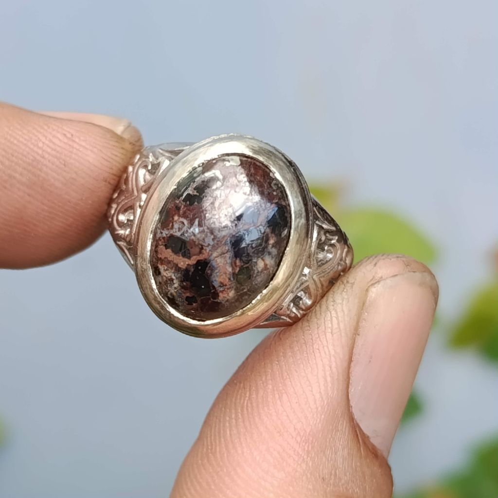 Pirus Hitam Persia