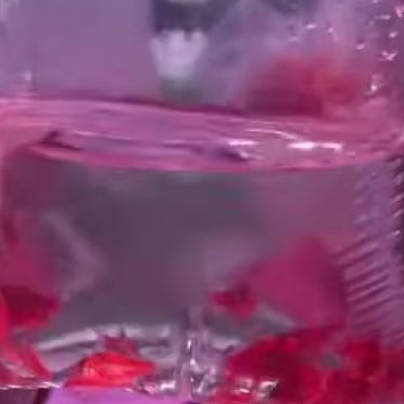PAKET ISI 20 SUMATRA RED GLOWFISH UKURAN 2 CM