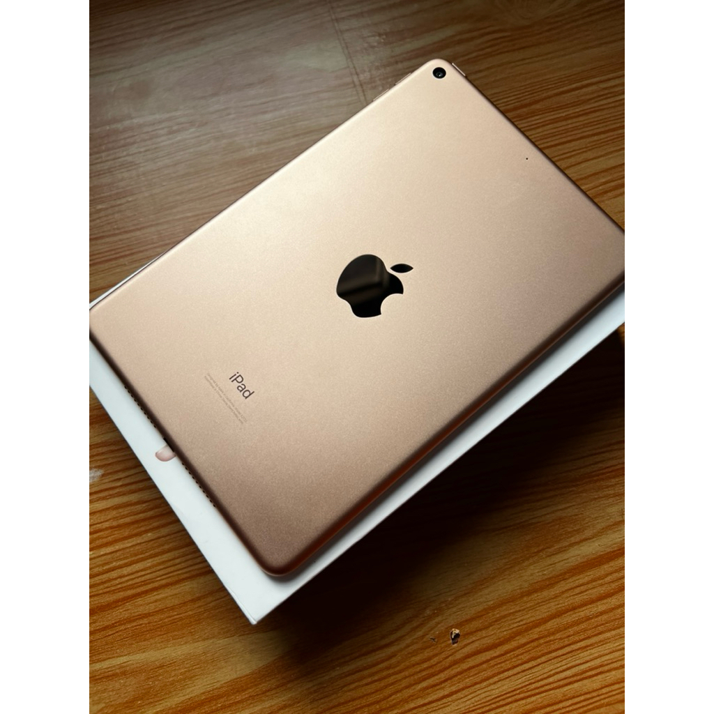 iPad mini 5 mulus kayak baru