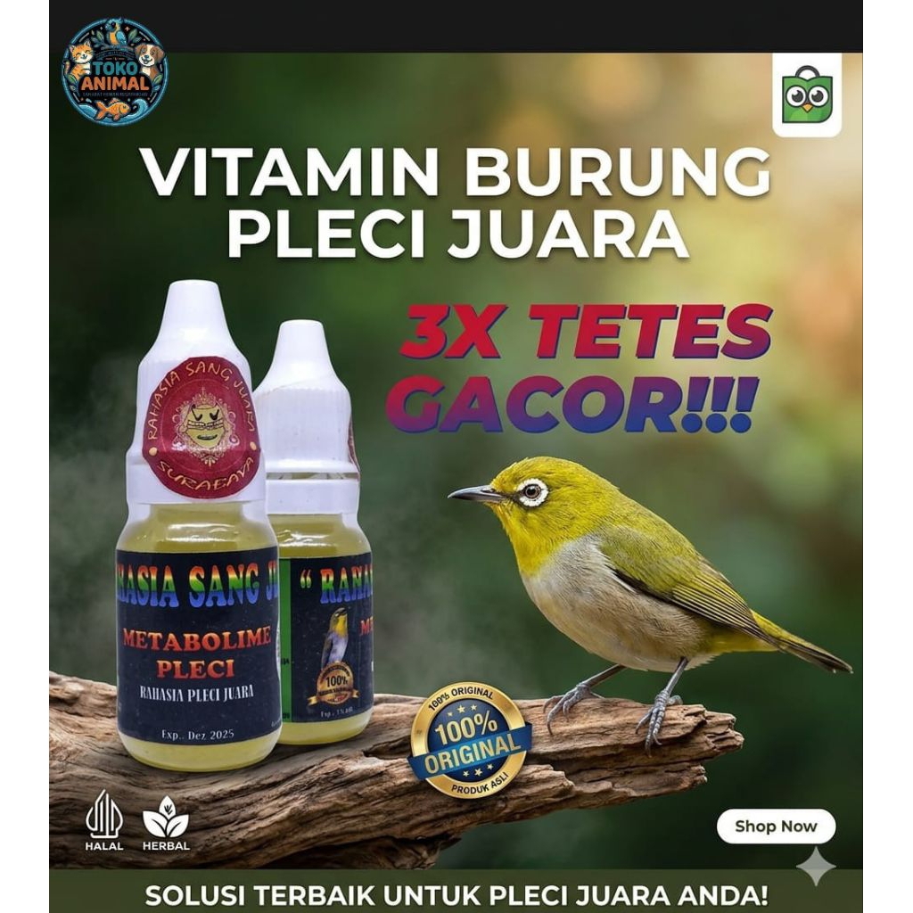 SUPLEMEN METABOLISME PLECI membuat pleci lebih rajin bunyi dan tampil maksimal.‎" Membantu meningkat