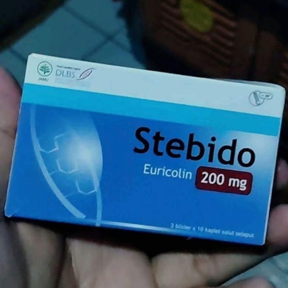 sTeBido