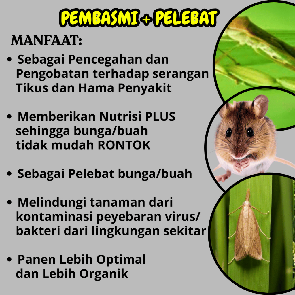 1 Liter Pestisida Nabati Pengusir dan Pengendali Hama Tikus Sawah Plus Pelebat Buah Obat Hama Tikus