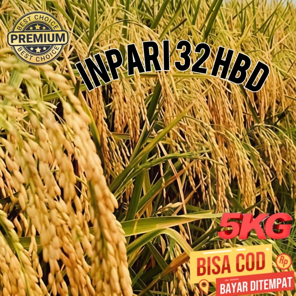 BIBIT BENIH PADI INPARI 32 HBD ORIGINAL KUALITAS PREMIUM KEMASAN 5KG
