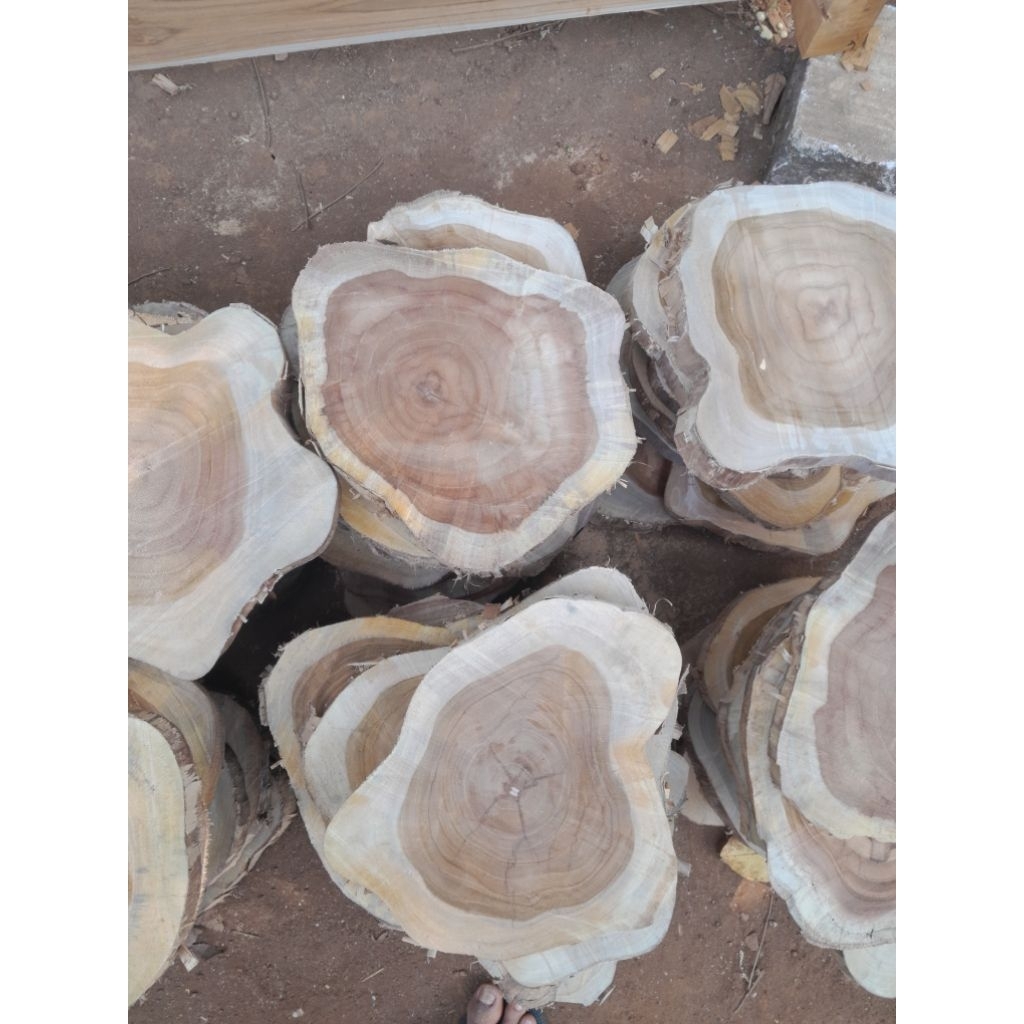 bintangan kayu jati potongan kayu akar jati 20-25 cm slice kayu akar jati