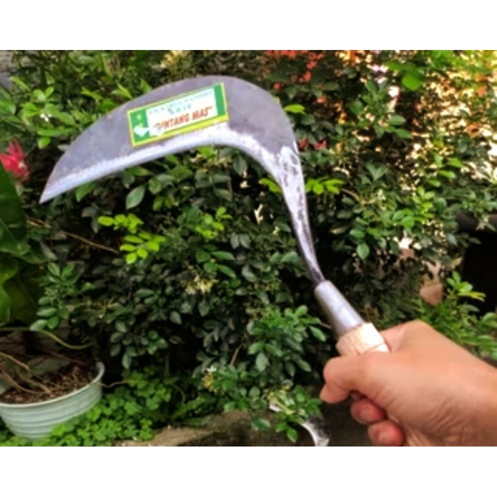 alat potong rumput