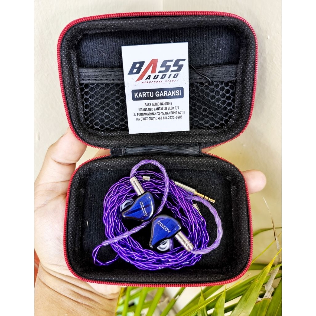 IEM Cozoy D1 (Non Mic)