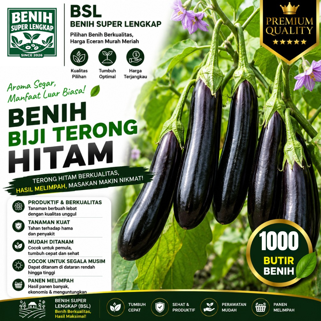 ( 1.000 Butir ) Benih Biji Terong Hitam | Terong Hitam Panjang | UKI BIBIT