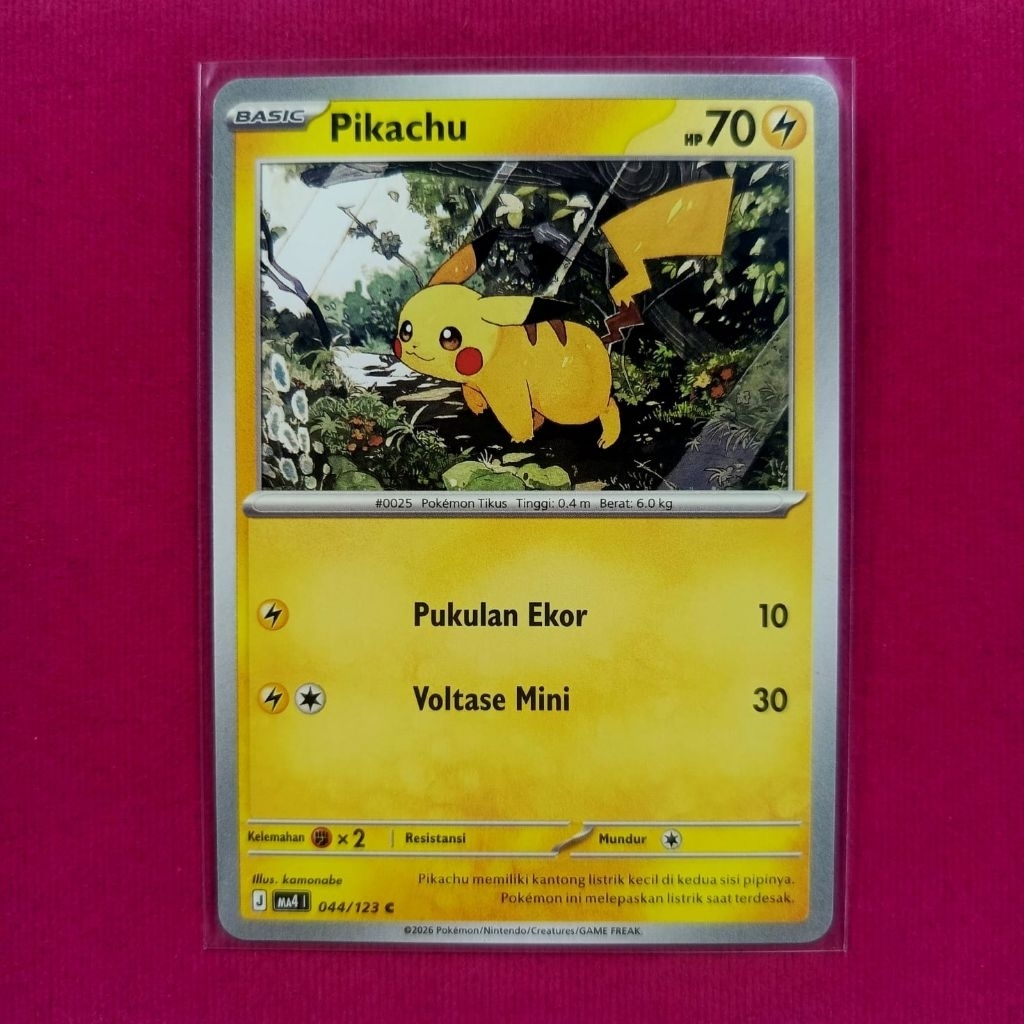 kartu pikachu / kartu okemon pikachu original