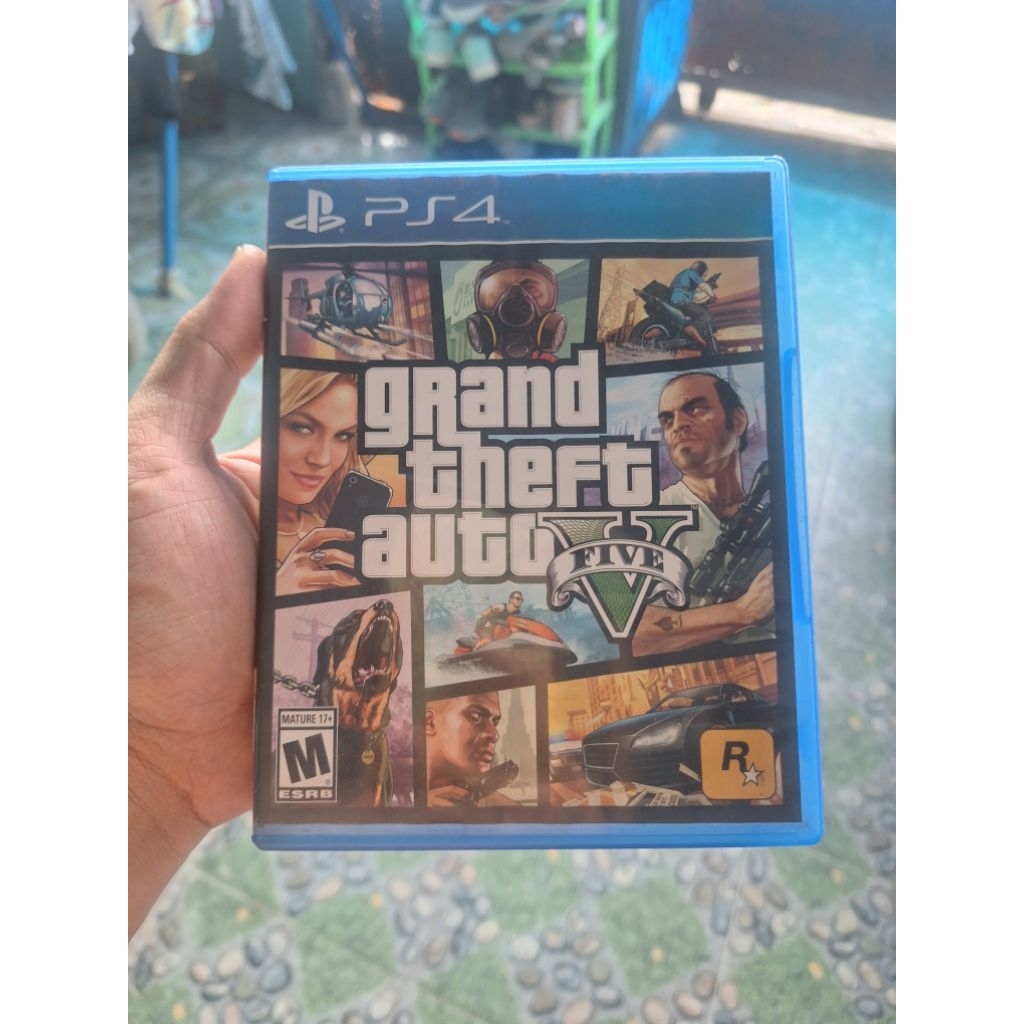 BD GTA V Reg3