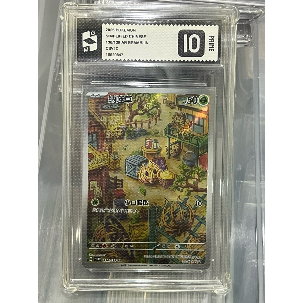 kartu pokemon slab GM Grade Master 10 bramblin AR chinese