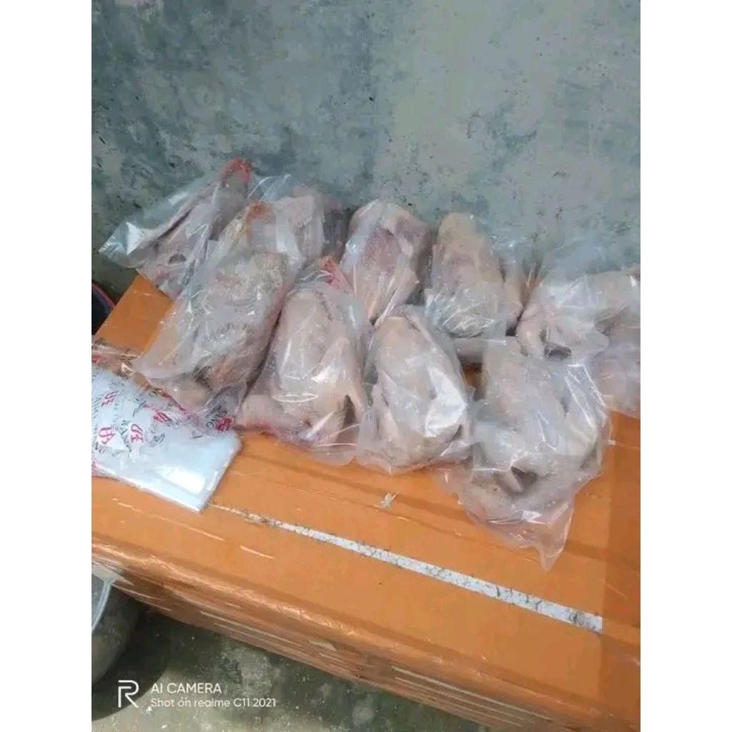 Frozen Food Burung Dara Karkas
