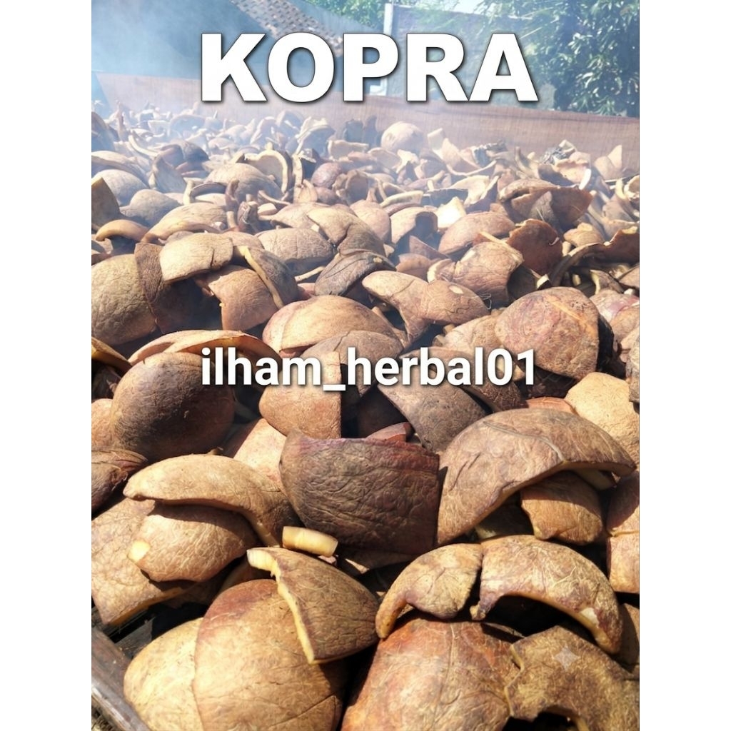 KOPRA KELAPA / KELAPA KERING BAHAN MINYAK HERBAL 1Kg