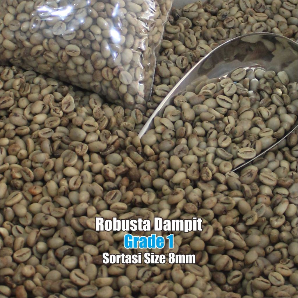 Kopi Green Bean Robusta Dampit - Grade 1