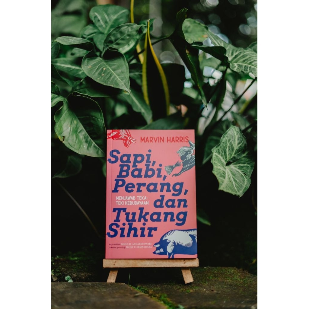 Sapi, Babi, Perang, dan Tukang Sihir