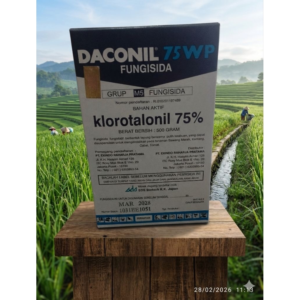 Fungisida Daconil 75 WP